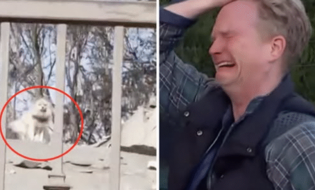 Screenshot-2026-01-25-011840-780x470