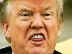 REPUBLICANS THINK TRUMP IS HAVING A NERVOUS BREAKDOWN OVER KAMALA HARRIS!