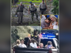 SPECIAL MIRACLE, 3 Missing Texas Girls Found Alive in a Hollow Tree 1 Mile From Camp, They Survived Nearly 10 Days Thanks to These 2 Things
