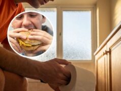 Understanding the Digestive Reflex That Occurs After Meals