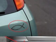 The Meaning Behind the Small Fish Symbol Seen on Some Cars