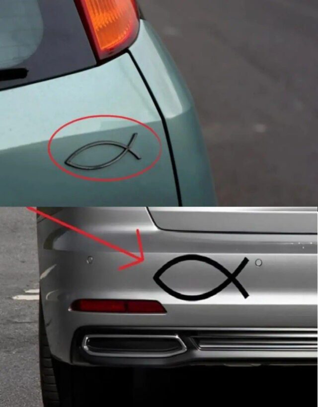 What does the small fish-shaped symbol on the back of some cars mean and what is it for - read more in coomment⬇️
