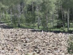 Test Your Observation Skills with This Clever Optical Illusion