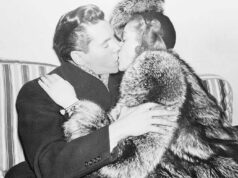 Lucille Ball and Desi Arnaz’s Relationship in Photos