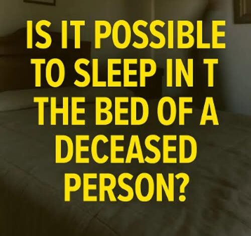 629656775_122250443474106243_399661793335980420_n-500x470