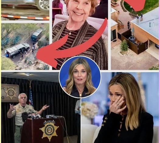 629719960_122247950288106495_4376856459882145326_n-526x470