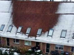 The House Without Snow and the Secret It Hid-