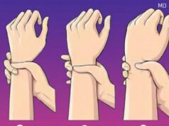 How to Adjust Your Fitness Plan Based on Your Body Type