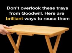 Creative Ways to Reuse Secondhand Trays at Home