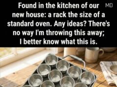 Unusual Oven-Sized Rack Found in Newly Purchased Kitchen Leaves Homeowners Searching for Answers