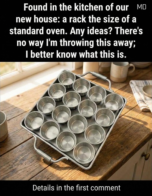 Found in the kitchen of our new house; a rack the size of a standard oven. Any ideas - There's no way I'm throwing this away; I better know what this is.