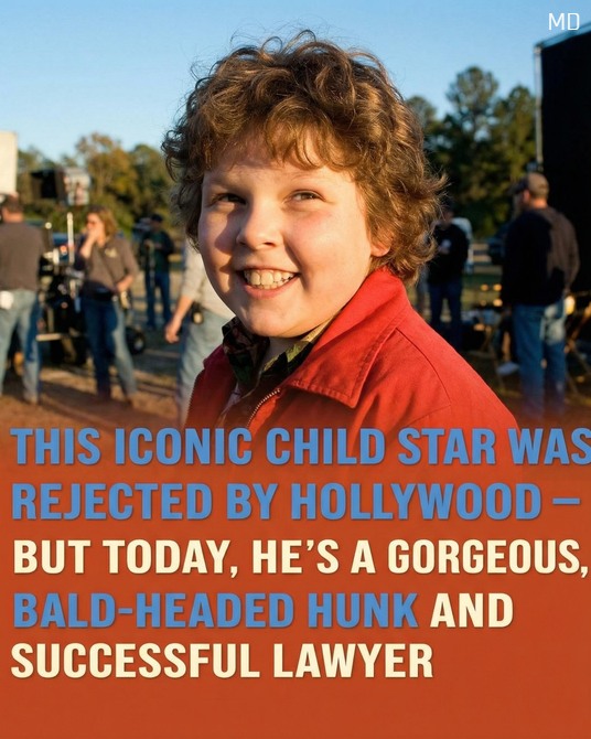 From Child Star to Successful Attorney A Hollywood Journey of Reinvention