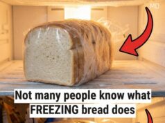 A Simple Guide to Freezing Bread for Freshness and Quality