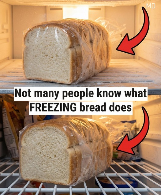 Here’s what happens when bread goes into the freezer.
