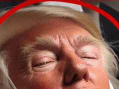 At A Pennsylvania Event Trump Was Shot In The Ear But His Campaign Claims He Is Okay!