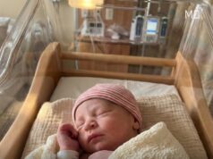 A Beloved Classic Is Returning to Delight a New Generation of Families in 2026