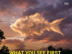 The Shape in the Sky That Helped Him See Life More Clearly