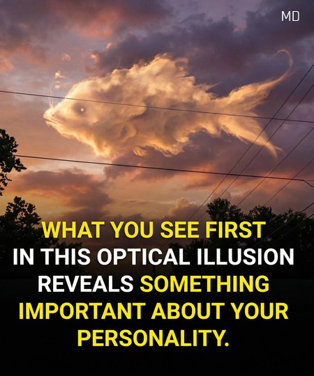What you see first reveals something important about your personality! Find out in the first comment. 👇
