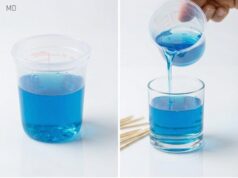 DIY Reed Diffuser: Easy Homemade Room Fragrance for a Fresh, Natural Scent