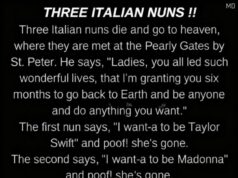 A Lighthearted Story That Gently Reminds Us What True Happiness Means