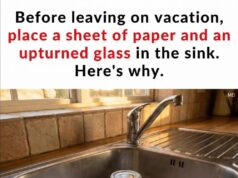 The Simple Sink Trick Many People Use Before Leaving for Vacation