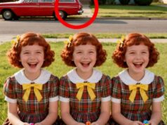 Three Triplets Vanished From Their Home in 1981, 15 Years Later, Their Mother Made a Shocking Discovery!