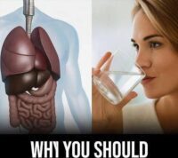 Benefits of Drinking Water on an Empty Stomach, Boost Your Health from the Start of the Day!