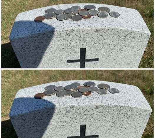 650262545_122251390694106495_6953051849082150734_n-526x470