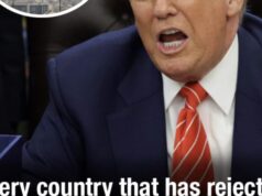 Every country that has rejected Donald Trump’s call to join the war against Iran – and one surprising country that agreed