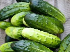 Doctors reveal that eating cucumber in salads causes…!