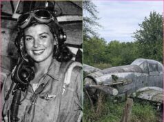 Fighter Pilot Vanished in 1944, 70 Years Later, Her Plane Was Found in a Forest!