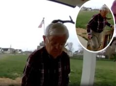 Kindness Goes Viral: Community Raises Over $900K for 78-Year-Old Delivery Driver Working to Afford Wife’s Medical Bills!