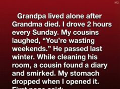 I Visited My Grandfather Every Sunday—What I Found in His Journal Changed Everything