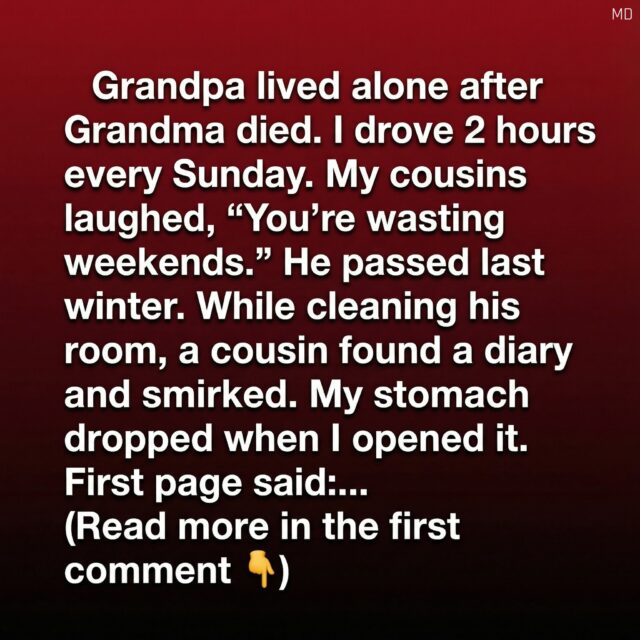 I Visited My Grandfather Every Sunday—What I Found in His Journal Changed Everything