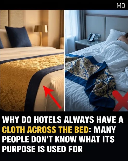 I had no idea 🤔⬇️See more in 1st comment⬇️