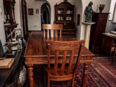 I walked into Goodwill last Tuesday with zero expectations and a twenty-dollar bill, just killing time before a dentist appointment I was dreading