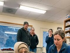 In the Middle of a Freezing Blizzard Night, a 5-Year-Old Girl Refused to Let Go of a Terrifying Scarred Stray Dog Everyone Else Was Afraid Of!