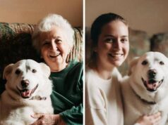 My Grandma Left $100,000 to My Greedy Cousin – All I Got Was Her Old Dog, Which Turned Out to Be Hiding a Secret