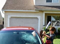 My Nephew Smashed My Brand-New Car With a Baseball Bat at My Sister’s Urging – So I Taught Her a Lesson She’d Never Forget
