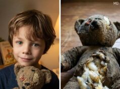 My Son Found an Old Teddy Bear in the Grass—What Happened That Night Changed Everything