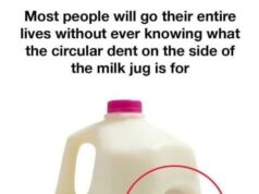 Purpose of the Circular Dent on Milk Jugs.!!