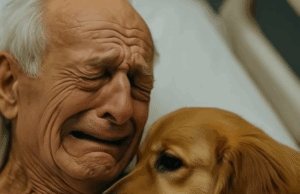 The doctors allowed the dog to enter the room to say goodbye to his owner – a few hours later, the nurse walked in and screamed in horror