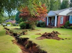 The $2,700 Revenge, Why My Neighbors Illegal Trench Through My Late Husbands Dream Lawn Ended in a Massive Sewage Disaster That Destroyed Her Own Kitchen
