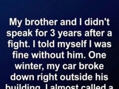 The Stalled Engine of a Three-Year Silence and the Winter Night the Hallway Finally Closed