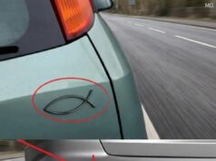 Why Some Drivers Display a Small Fish Emblem on Their Vehicles