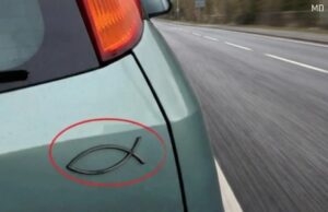 Why Some Drivers Display a Small Fish Emblem on Their Vehicles