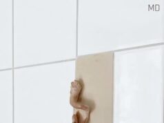 The Small Pink Spot on My Wall That Made Me Take a Closer Look