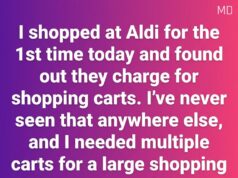 The Simple Reason Aldi Uses a Coin Deposit for Shopping Carts
