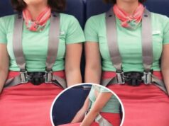 Why Flight Attendants Sit on Their Hands During Takeoff and Landing and What That Quiet Gesture Reveals About Safety in the Sky
