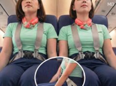 What It Means When Flight Attendants Sit on Their Hands on a Plane